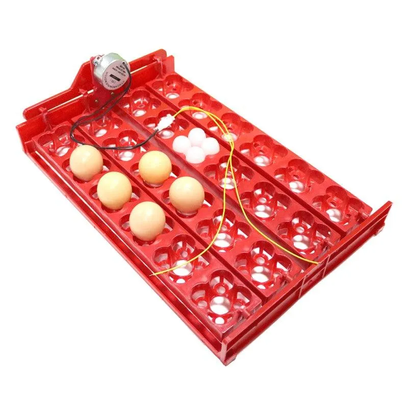24-Eggs Automatic Incubator Tray