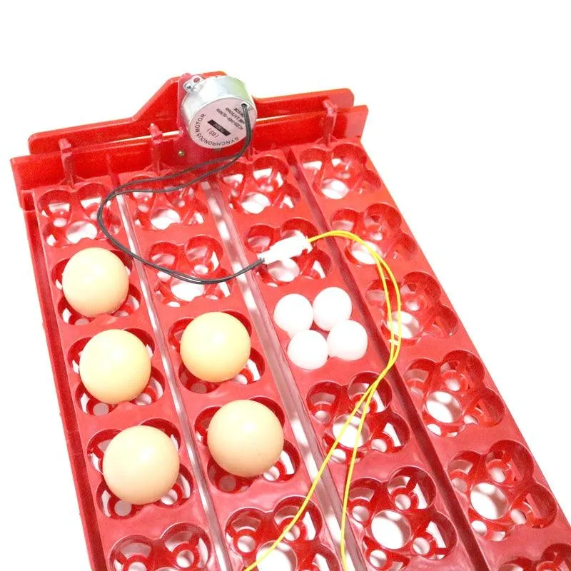 24-Eggs Automatic Incubator Tray