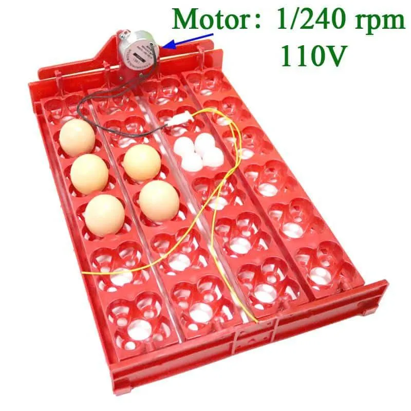 24-Eggs Automatic Incubator Tray