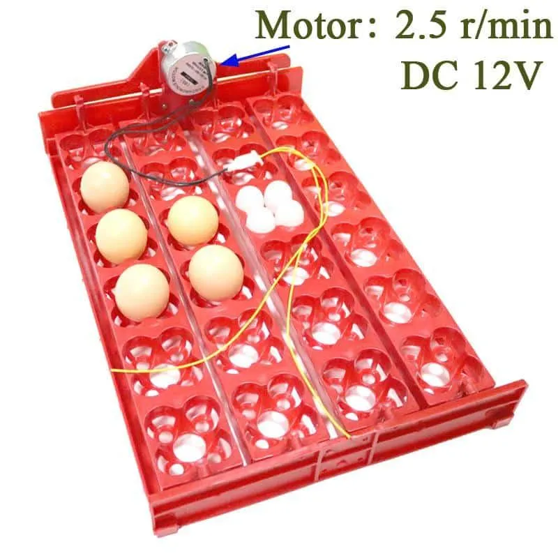 24-Eggs Automatic Incubator Tray