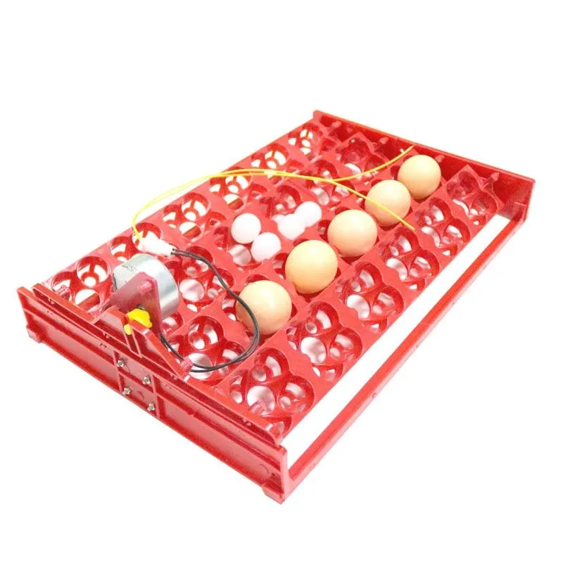 24-Eggs Automatic Incubator Tray