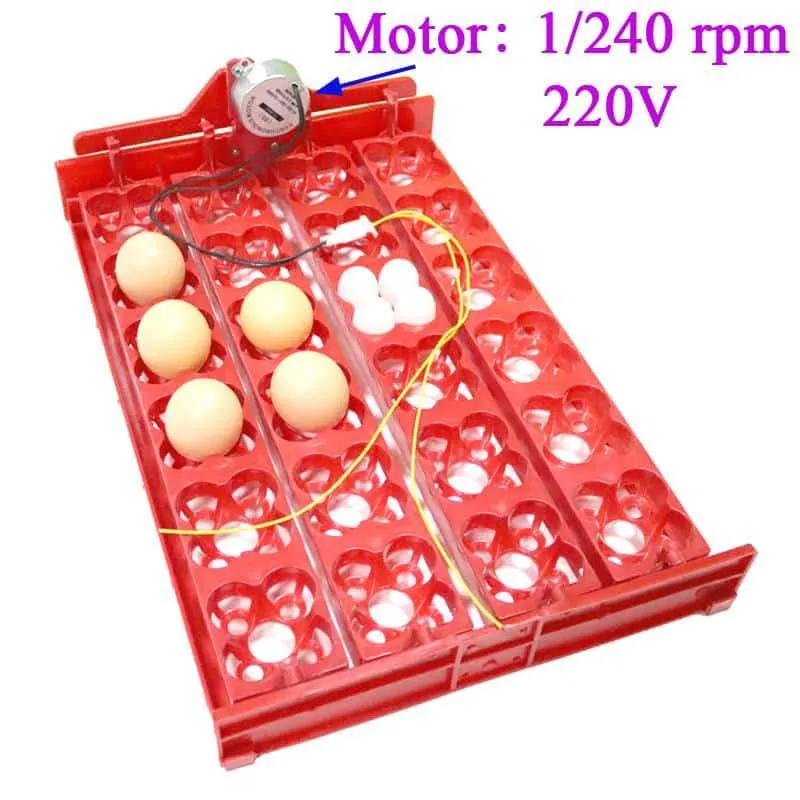24-Eggs Automatic Incubator Tray