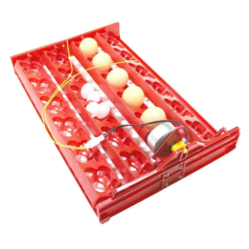 24-Eggs Automatic Incubator Tray