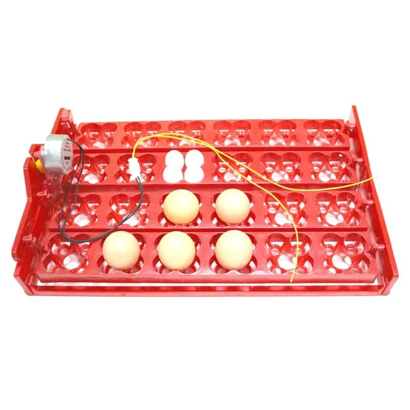 24-Eggs Automatic Incubator Tray