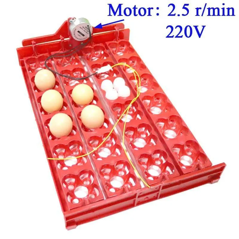 24-Eggs Automatic Incubator Tray