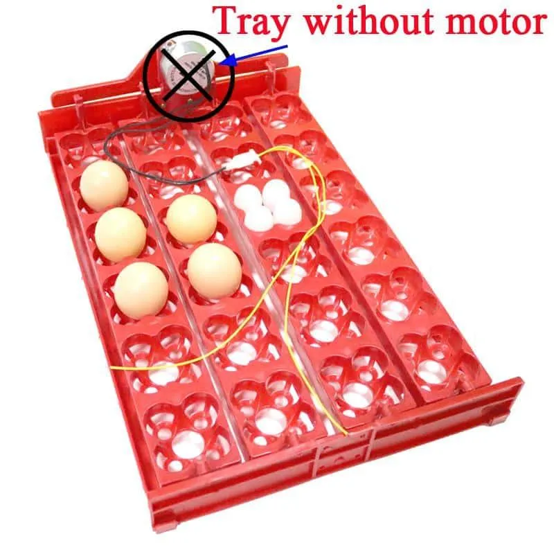 24-Eggs Automatic Incubator Tray