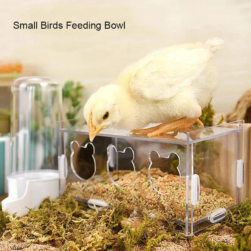 Acrylic Bird Feeder with Cuttlebone Holder