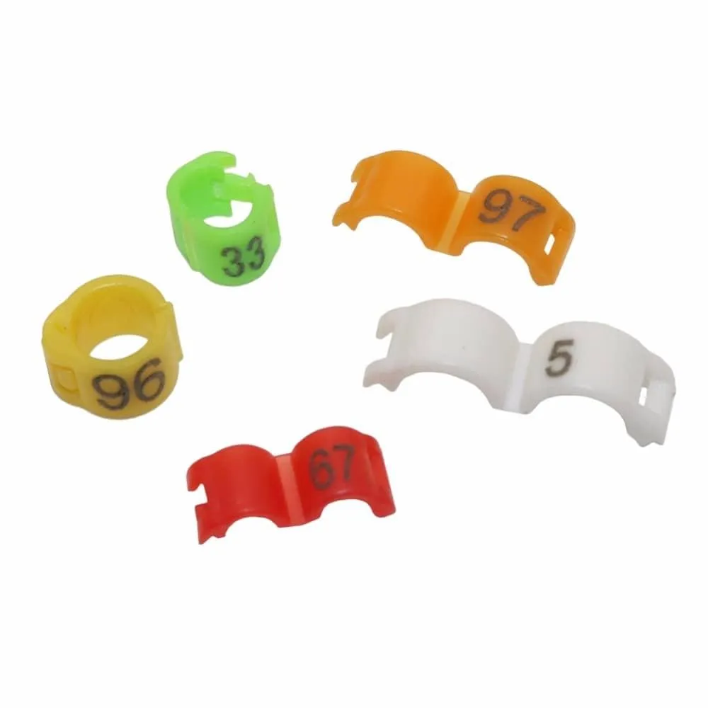 Colorful Clip Rings For Birds