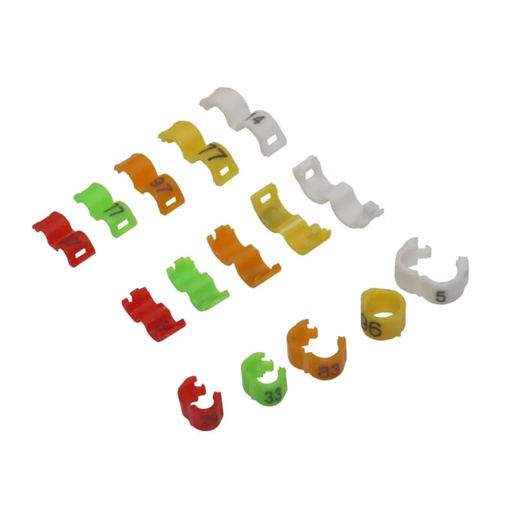 Colorful Clip Rings For Birds