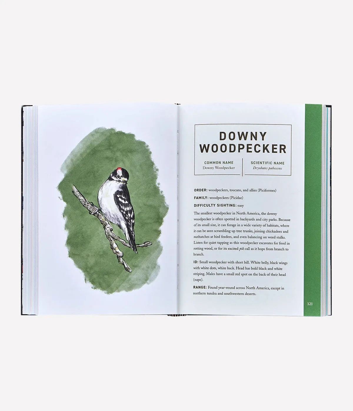 The Book of Birds in White