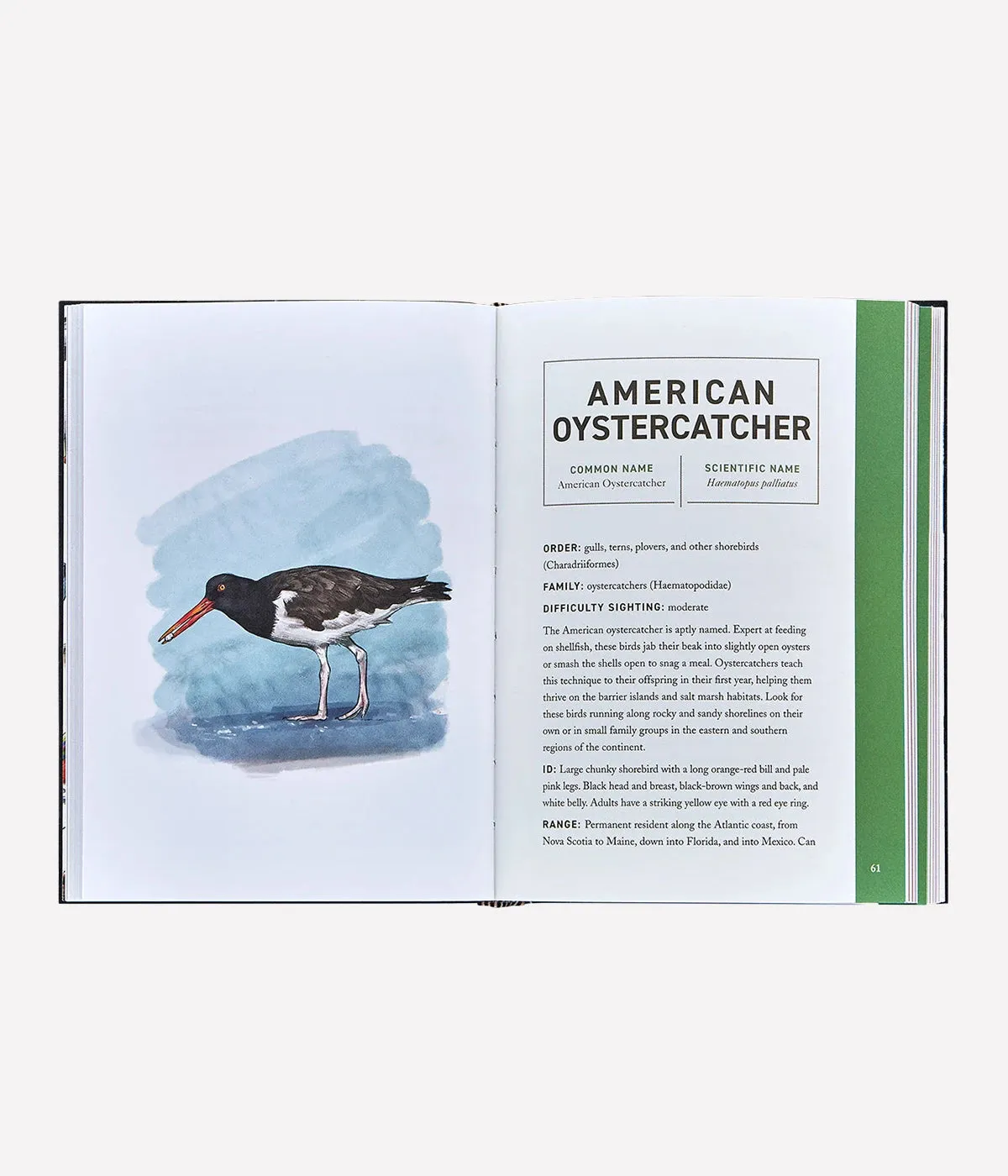 The Book of Birds in White